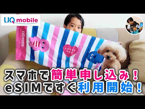 「auPay残高が貰える！」UQモバイルへ乗り換え、SIMだけ申し込みの手順！
