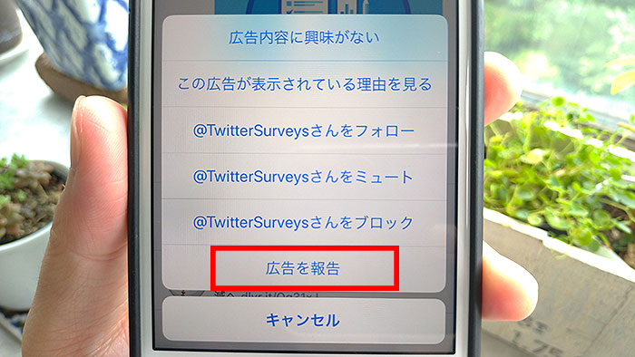 広告を報告