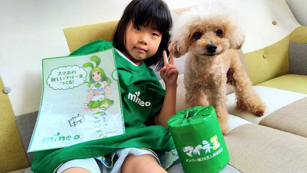 マイネオとは？