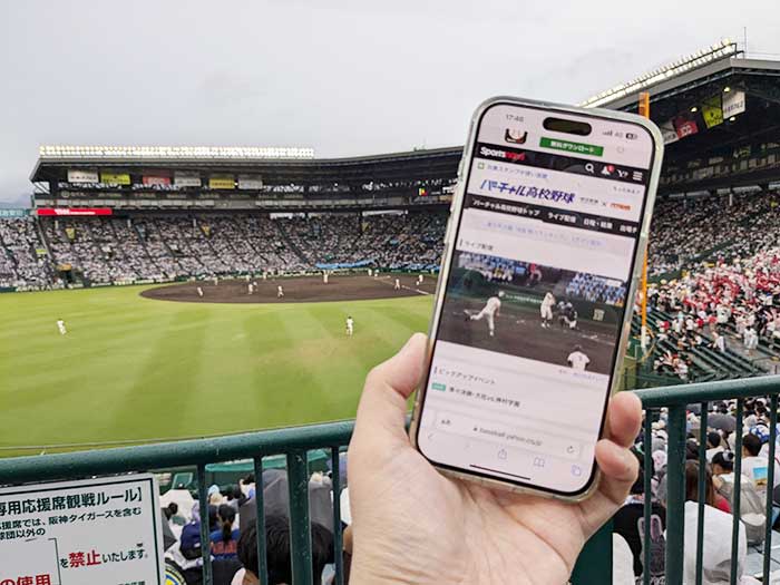 バーチャル高校野球とは？