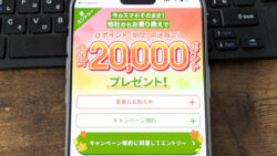 アハモとは？