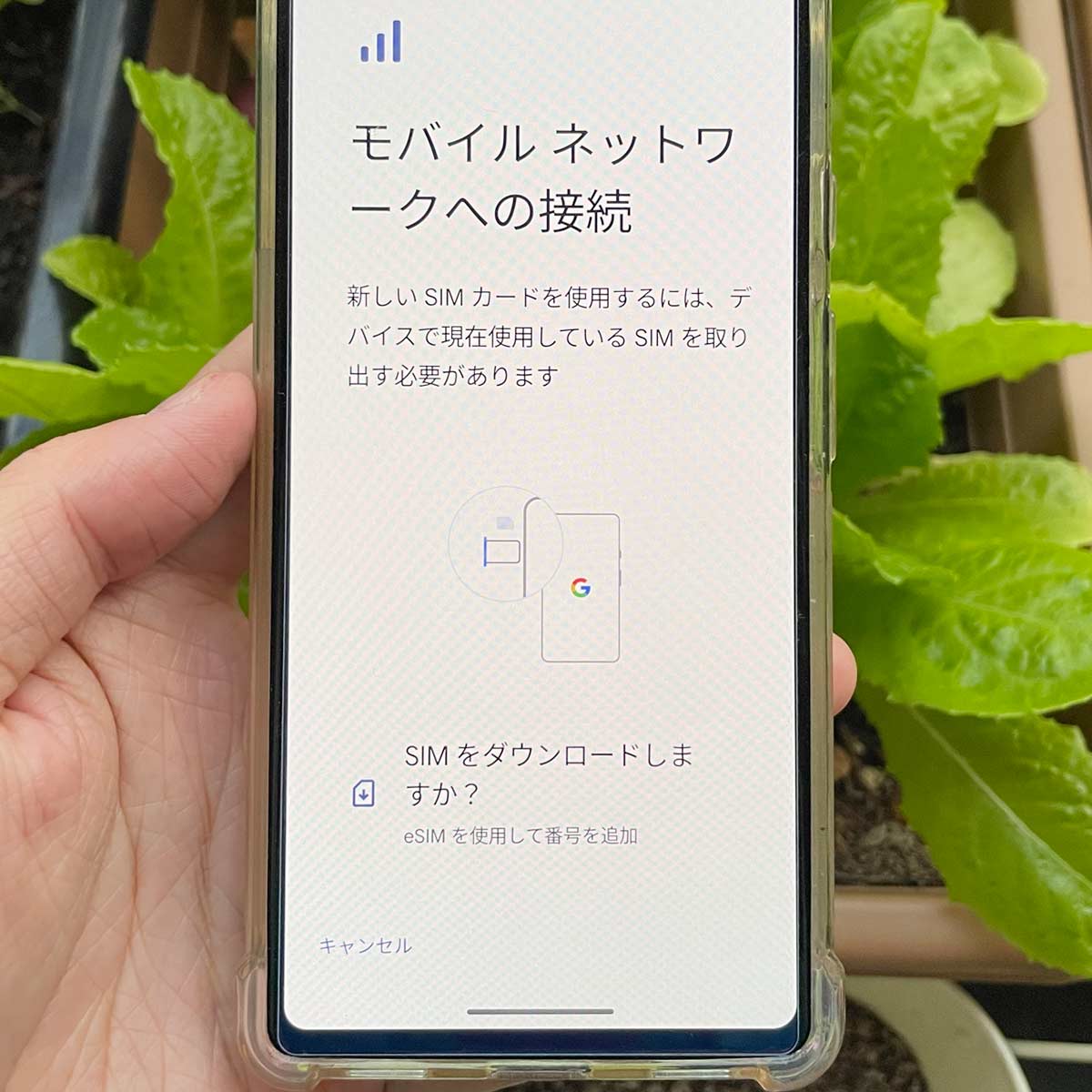 グーグルピクセルでeSIMを設定する注意点/手順