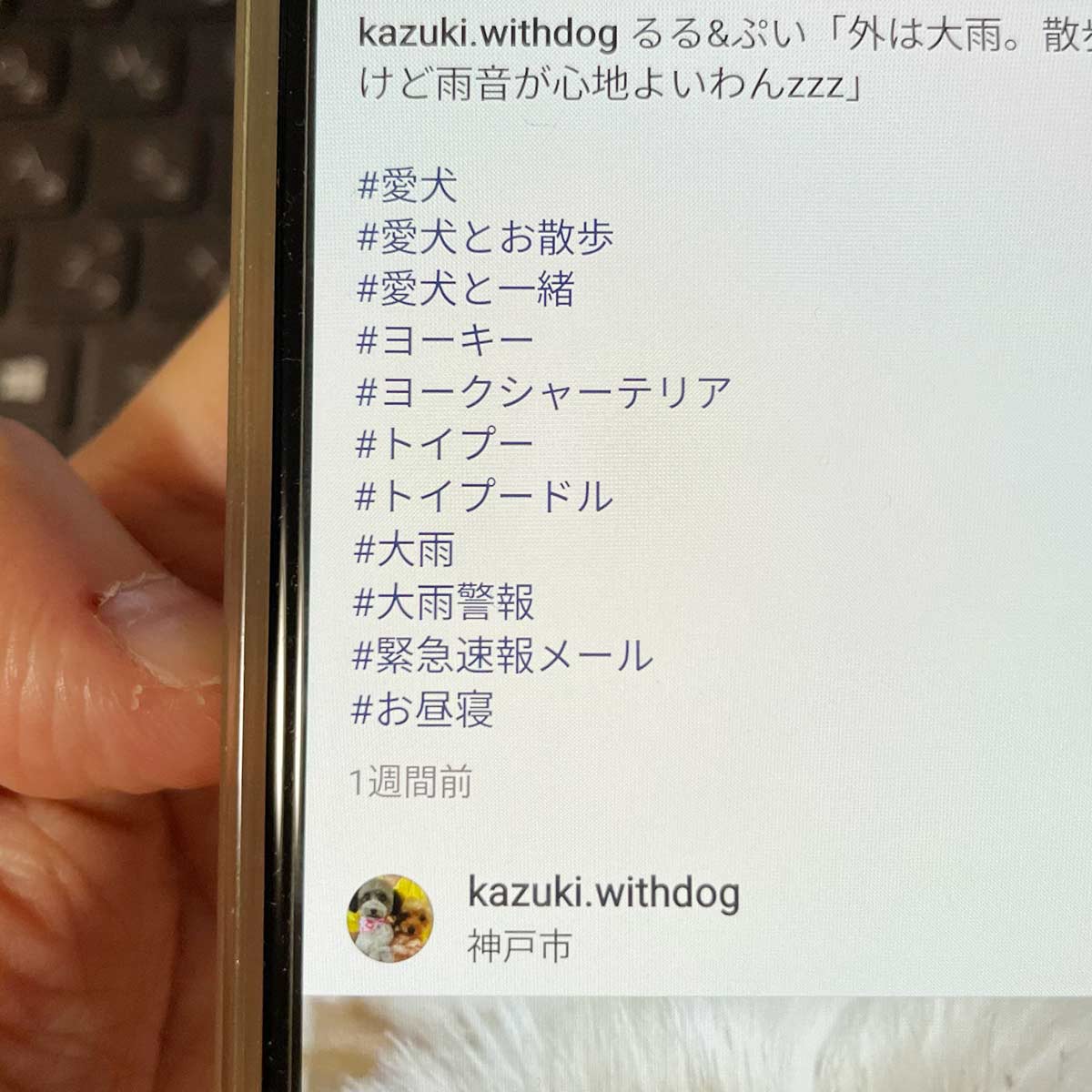 インスタグラムの投稿に#ハッシュタグを付ける注意点