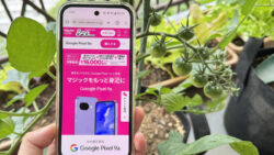 グーグルピクセル9a楽天モバイルで実質76,000円