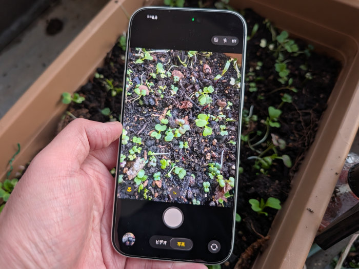 iPhone15ProMAX カメラアプリを起動した際の写真撮影