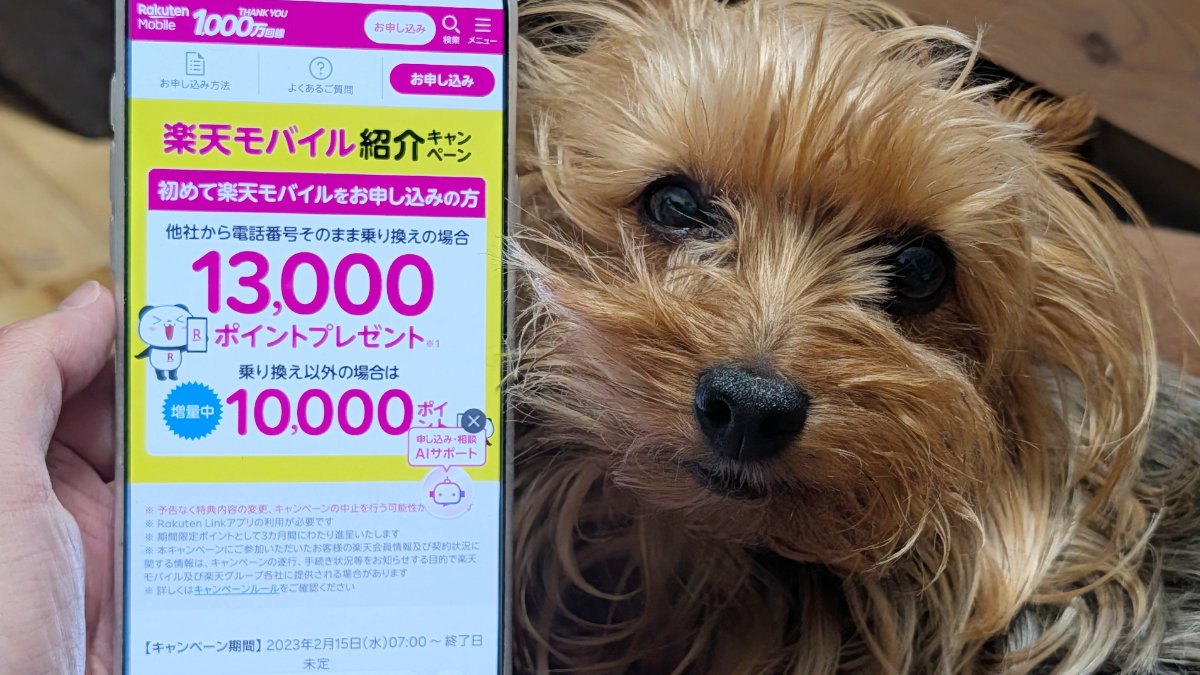 楽天モバイル紹介キャンペーンの条件は？