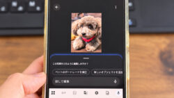 Googleフォトは言葉（指示）で写真編集ができる！