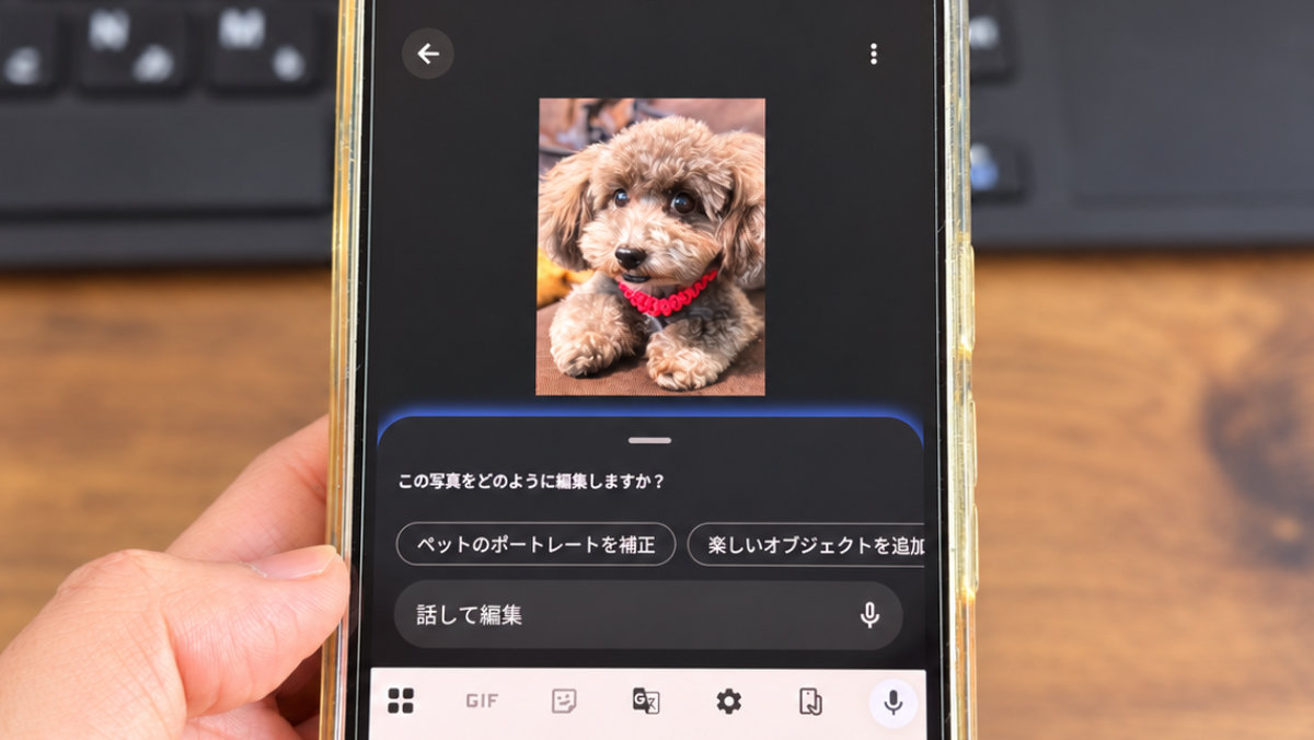 Googleフォトは言葉(指示)で写真編集ができる!