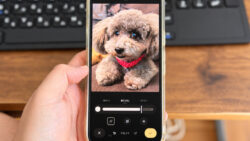 Googleフォトで写真にモザイクを入れれるようになった！