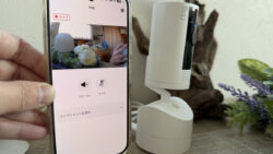 Ringペットカメラの映像を家族も見れるようにする方法!