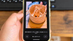 Googleフォトの消しゴムマジック機能を使いこなし